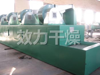 蘋果片帶式烘干機(jī)