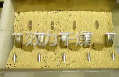化工污泥干化設(shè)備